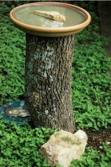 a bird bath sitting on top of a tree