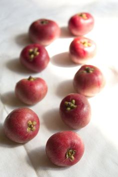 several red apples arranged in a circle on a white surface