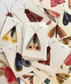 six watercolor moths on white cards with red, yellow and blue spots in the wings