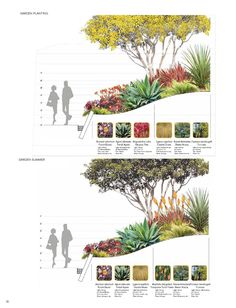 two diagrams showing different types of trees and shrubs