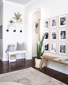 a living room with pictures on the wall and a bench in front of some plants