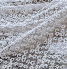 white lace with flowers on it is laying on the tablecloth, close - up