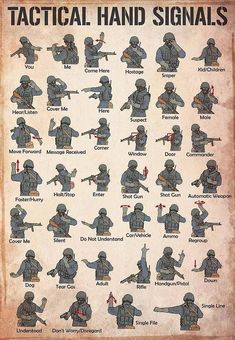 Veteran Tactical Hand Signals Vintage MH1009 Tactical Hand Signals, Tactical Gear Room, Nato Alphabet, Wojskowy Humor, Ako Kresliť, Hand Signs, Survival Skills Life Hacks, Hand Signals