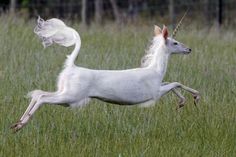 a white unicorn running through the grass with its rear legs spread out and it's tail in the air