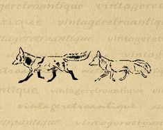 two drawings of foxes running side by side