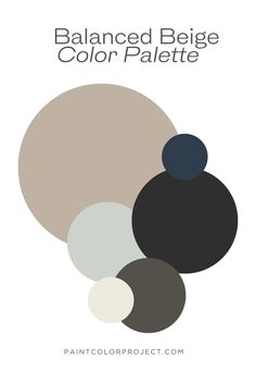 the color palette for an art project with black, white and grey circles on it