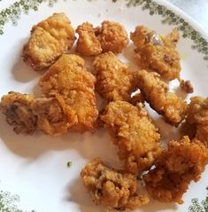 some fried food on a white and green plate