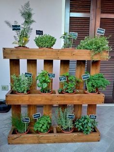 several wooden planters filled with different types of plants