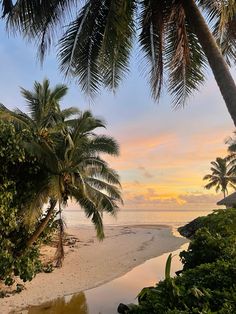 palm trees line the beach as the sun sets