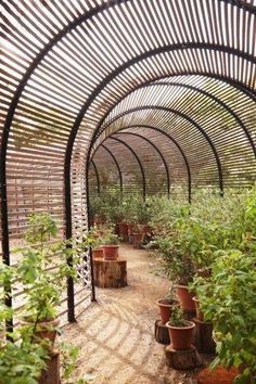 an outdoor garden with lots of potted plants