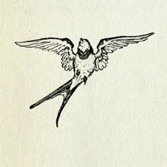 a drawing of a bird with its wings spread