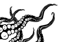 an octopus drawing in black and white with circles on it's back legs,