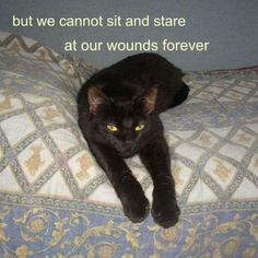 a black cat laying on top of a bed next to a quote that says, but we cannot sit and stare at our wounds forever