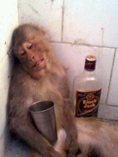 a monkey sitting on the floor with a cup in its hand next to a bottle