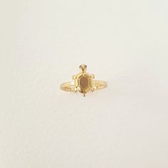 A turtle ring adorned with ruby stones in 14K gold is a delightful and charming piece of jewelry, perfect for a daughter or any woman who loves cute and meaningful accessories.  The combination of the turtle motif, symbolizing longevity, wisdom, and protection, with the vibrant ruby stones, representing love, passion, and vitality, creates a unique and eye-catching design.  The minimalist style and stackable nature of the ring allow for versatile wear, whether alone or paired with other favorite pieces. It's a thoughtful and heartfelt gift that will surely bring joy and appreciation to its recipient. D E T A I L S❤️ - Our jewelry are ready for you in stock, and also we can make customizable products made to order. - We use 100% 10K/14K/18K Solid Gold - Choice of Gold Color: Yellow Gold, Ro Gold Earrings With Price, Earrings With Price, Tortoise Ring, Ring With Ruby, Turtle Ring, A Turtle, Ruby Stone, A Daughter, Gift For Daughter