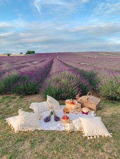 lavender field with picnic blanket and pillows