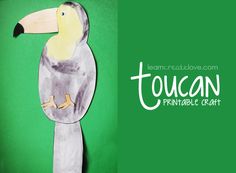 a paper cut out of a toucan on a green background