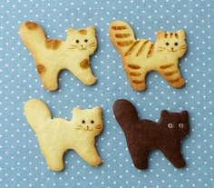 four cookies shaped like cats and kittens on a blue background with white polka dots