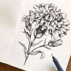 a drawing of a flower on top of a piece of paper next to a pen