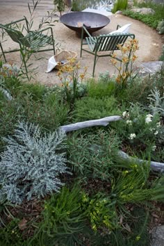 the garden is full of flowers and plants