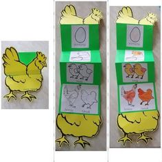 three pictures of different types of chickens and their names are shown in green boxes with yellow trim