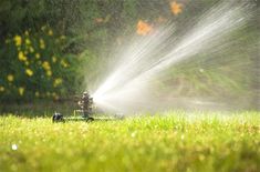 a sprinkler is spraying water on the grass