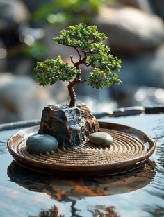 a small bonsai tree sitting on top of a table next to rocks and water