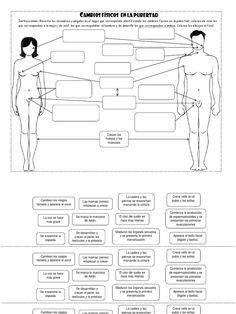 a diagram showing the functions of human body and how they are used to describe it