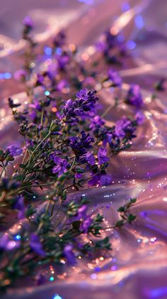 some purple flowers are laying on a shiny surface