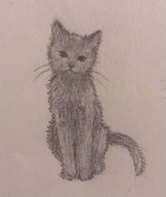 a pencil drawing of a cat sitting down