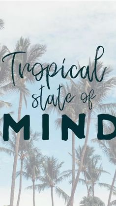 palm trees with the words tropical state of mind