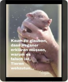 a pig holding another pig in it's arms with the caption kaum zu glauben, das vegeaner, erklen, warnen mussen, warmen,