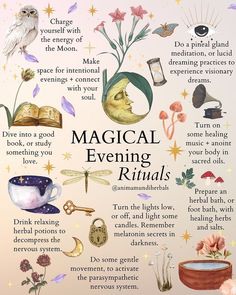 Nature Affirmations, Hearth Magic, Hearth Witch, Pagan Practices, Planting Plants, Witch Things, Evening Rituals, Relaxing Candles