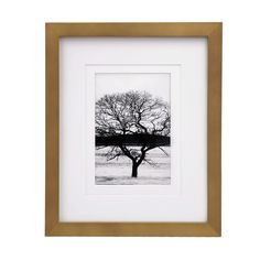 a black and white photo of a tree with no leaves on the branches in front of a white background