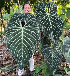 a man holding two large green leaves over his face in the middle of a forest