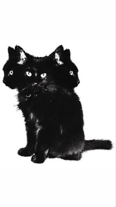 two black cats sitting next to each other on top of a white surface with one cat looking at the camera