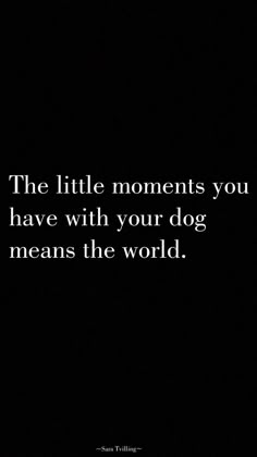 the little moments you have with your dog means the world quote by john f williams