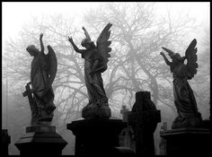 three statues with angel wings on top of headstones in front of foggy trees