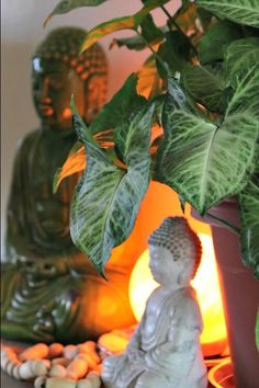 a buddha statue sitting next to a potted plant