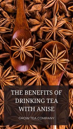 the benefits of drinking tea with anise and star anise spoons on top