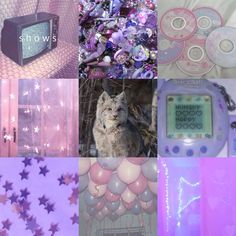 there are many different items that can be seen in this collage, including a cat