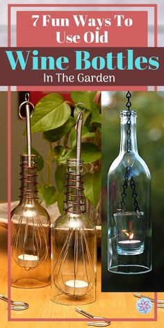 three wine bottles in the garden with text overlay that reads 7 fun ways to use old wine bottles in the garden