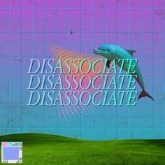 a computer screen with the words disassociate and a dolphin swimming over it