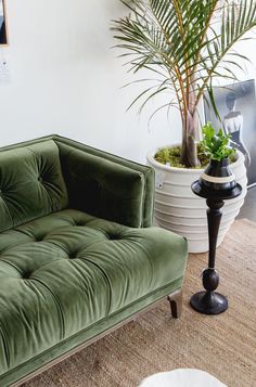 a green couch sitting next to a potted plant