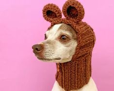 a dog wearing a knitted hat with ears on it's head in front of a pink background