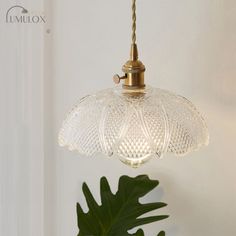 Create a retro ambiance with the Menkent Vintage Shaded Pendant Light. This 1-light hanging fixture is crafted with clear glass, adding a touch of elegance to any space. The antique finish on the metal frame complements the vintage design, adding a timeless appeal. Hang it above your dining table or in your living room to create a warm and inviting atmosphere. With its adjustable height, you can customize the lighting experience to suit your needs. This pendant light is perfect for those who appreciate a classic and sophisticated aesthetic. Illuminate your home with style and grace with the Menkent Vintage Shaded Pendant Light.Size: 5 to 9 Inch 10 to 14 Inch Fixture Width: 5" 6" 5.5" 8.5" 10" 8" 4.5" 6.5" Fixture Height: 5" 4.5" 2.5" 3.5" 5.5" 3" 7" 4" 6" 2" Bulb Included: No Number of Lig Modern Installation, Store Window, Hanging Fixture, Hanging Light Fixtures, Post Modern, Dining Room Living Room, Unique Lighting, Hotel Room, Dining Room Lighting