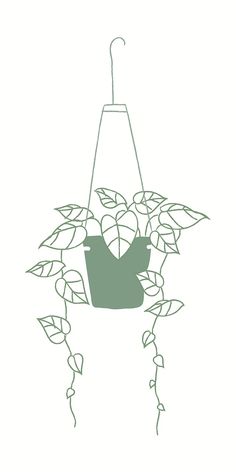 a bird feeder hanging from a plant with leaves on it's sides and the words,