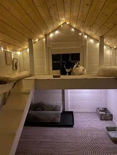 two cats sitting on top of a cat bed in a room with lights strung around the ceiling