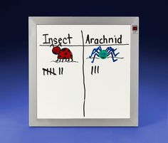 an insect and a ladybug are drawn on a white board with blue background