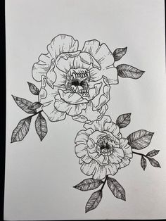 an ink drawing of two flowers with leaves on the bottom and one flower in the middle